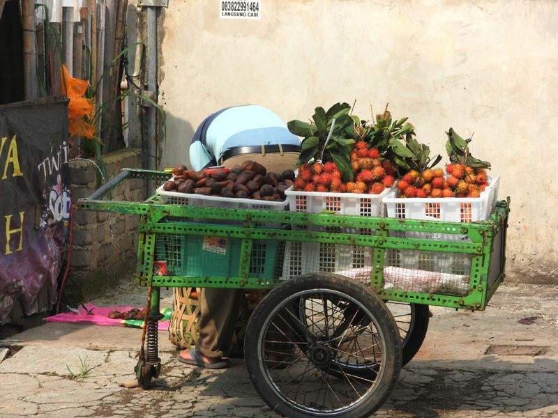 季節の国産フルーツ販売